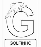 Letra G de golfinho (alfabeto dos animais)