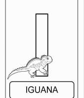 Letra I de iguana (alfabeto dos animais)