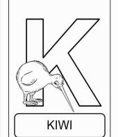 Letra K de kiwi (alfabeto dos animais)