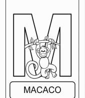 Letra M de macaco (alfabeto dos animais)