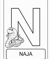 Letra N de naja (alfabeto dos animais)