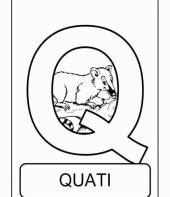 Letra Q de quati (alfabeto dos animais)