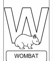 Letra W de wombat (alfabeto dos animais)