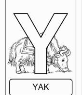 Letra Y de yak (alfabeto dos animais)
