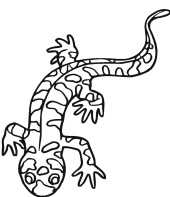 salamandra-para-colorir