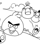 angry-birds-para-colorir-2