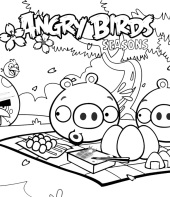 angry-birds-para-colorir-3