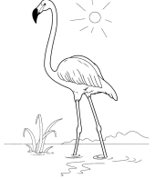 flamingo-para-colorir