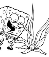 Bob Esponja para pintar