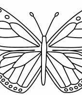 desenho-de-borboleta-para-colorir-8