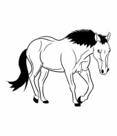 cavalo-para-colorir-10