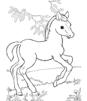 cavalo-para-colorir-11