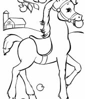 cavalo-para-colorir-13