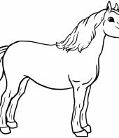 cavalo-para-colorir-14