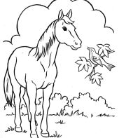 cavalo-para-colorir-15