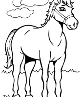 cavalo-para-colorir-2