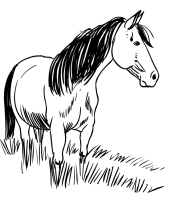 cavalo-para-colorir-4