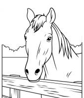 cavalo-para-colorir-7