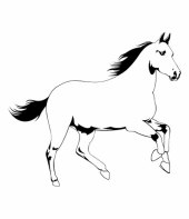 cavalo-para-colorir-9