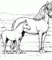 cavalo-para-imprimir-3