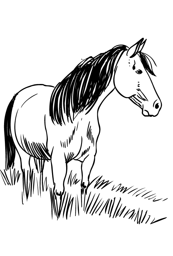 Desenhos de cavalo para colorir