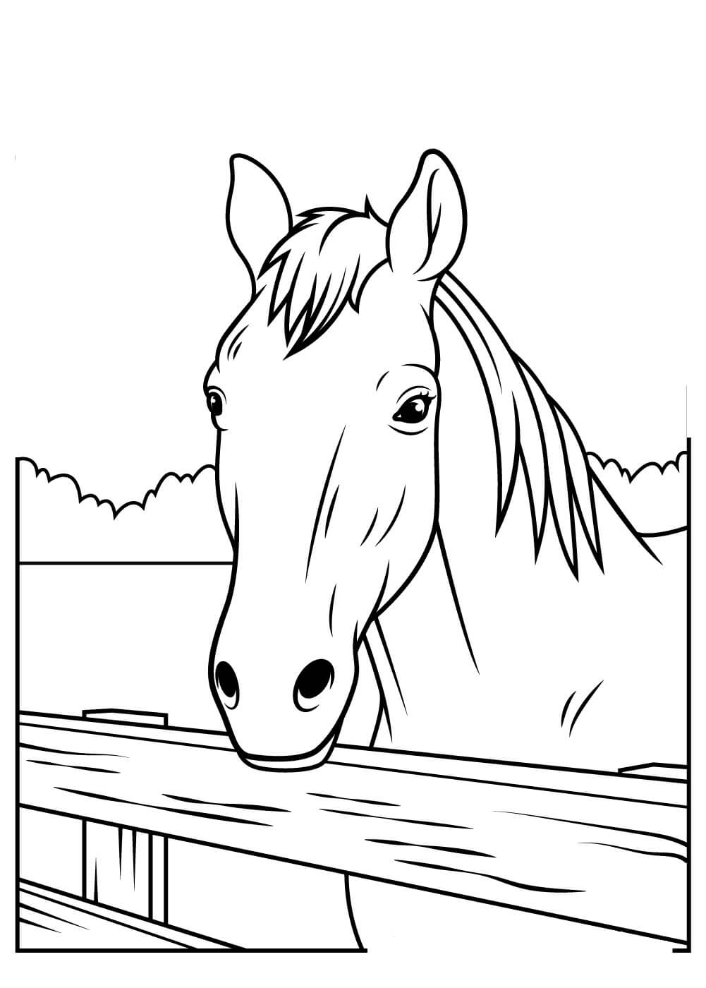 Mais de 100 desenhos de cavalos para colorir!  Cavalo desenho, Cavalos,  Ilustração de cavalo