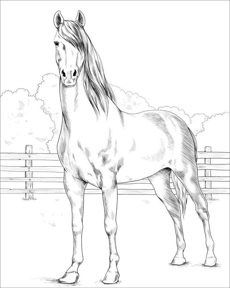 cavalo para colorir para crianças 8208219 Vetor no Vecteezy