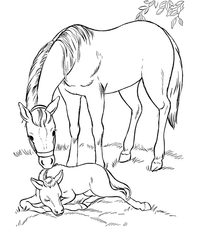 Desenhos de cavalo para colorir