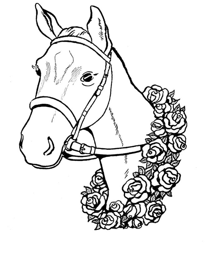 Desenho de Cavalo de competição para Colorir - Colorir.com