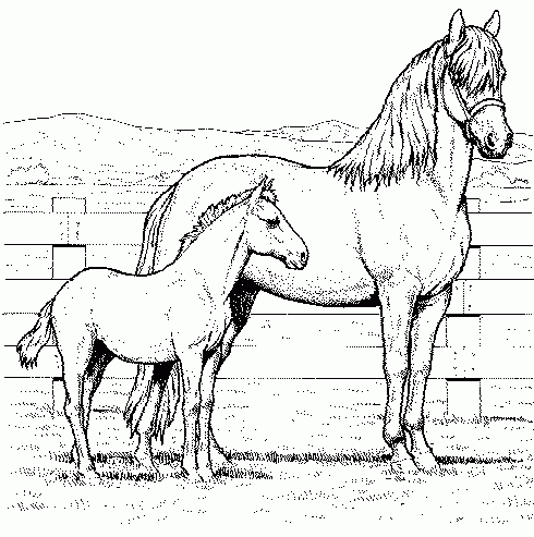 cavalo para colorir para crianças 8208219 Vetor no Vecteezy