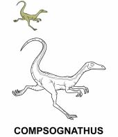 Compsognathus