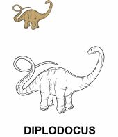 Diplodocus