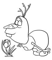 Olaf para colorir