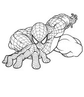 Homem-Aranha escalando para colorir