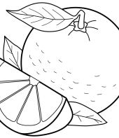 Laranja para colorir (desenho)