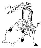 Desenho para imprimir do filme Madagascar