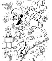 Mario e alguns mini-vilões