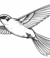 desenho-passarinho-realista-voando