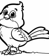 desenhos-de-passarinhos-para-colorir-22