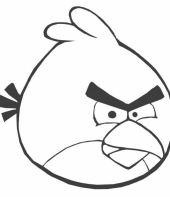 Red dos Angry Birds para colorir