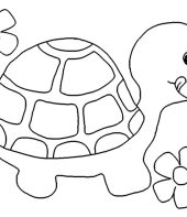 1_tartaruga-para-colorir-1