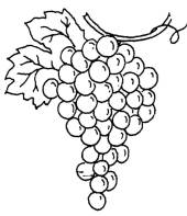 uvas-desenho-pascoa-3