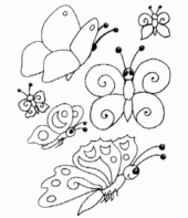 Borboletas para colorir