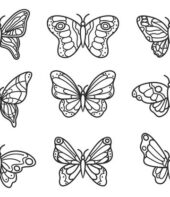Borboletas para colorir