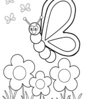 Borboletas para colorir
