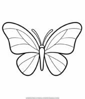Borboletas para colorir