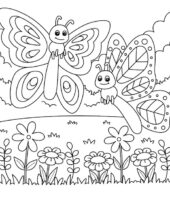 Borboletas para colorir