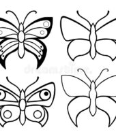 Borboletas para colorir