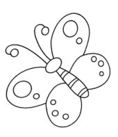 Borboletas para colorir